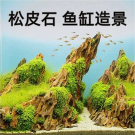 造景/装饰;沙石砾石;栽培基质