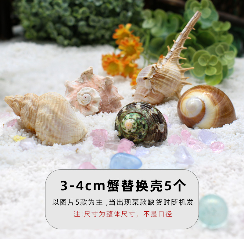 3-4cm 게 교체껍질 5개 [콤비네이션팩B]