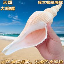 ��Ȼ����ؐ���L��������пڿɴ�푵�ʿ̖����̖�b[���������l