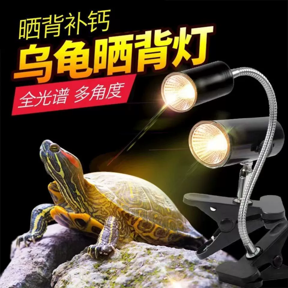 Черепаха на спине лампа лампа подставка для пополнения кальция UVA