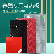 兽用电热板仔猪橡胶用不锈钢碳纤维保温板加热板产床升温加热宠物