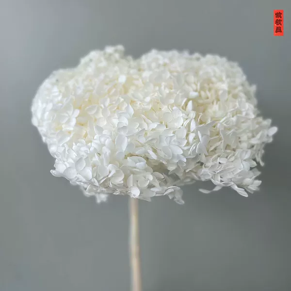White/branch normal whiteness