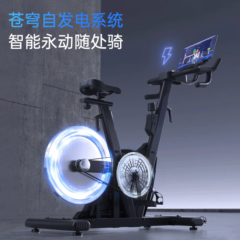 Bicicletas Lijiujia D700 sin conexión doméstica deportiva interior bicicleta de ejercicios magnéticos silenciosos