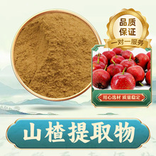 山楂提取物 恒健生物 山楂提取粉植物提取量大价优支持拿样溶解快