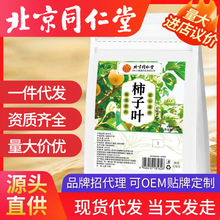 北京同仁堂热销品柿子叶100g现货代发