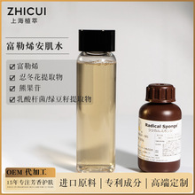 �ձ�����ϩˬ�wˮ ���w���F �ܹ��� ���ӹ�12�ꌍ���̼�