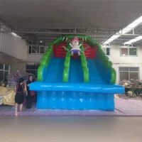 Надувная горка, водная горка, надувной бассейн с горкой | Надувной водный горка для двора европейского и американского качества