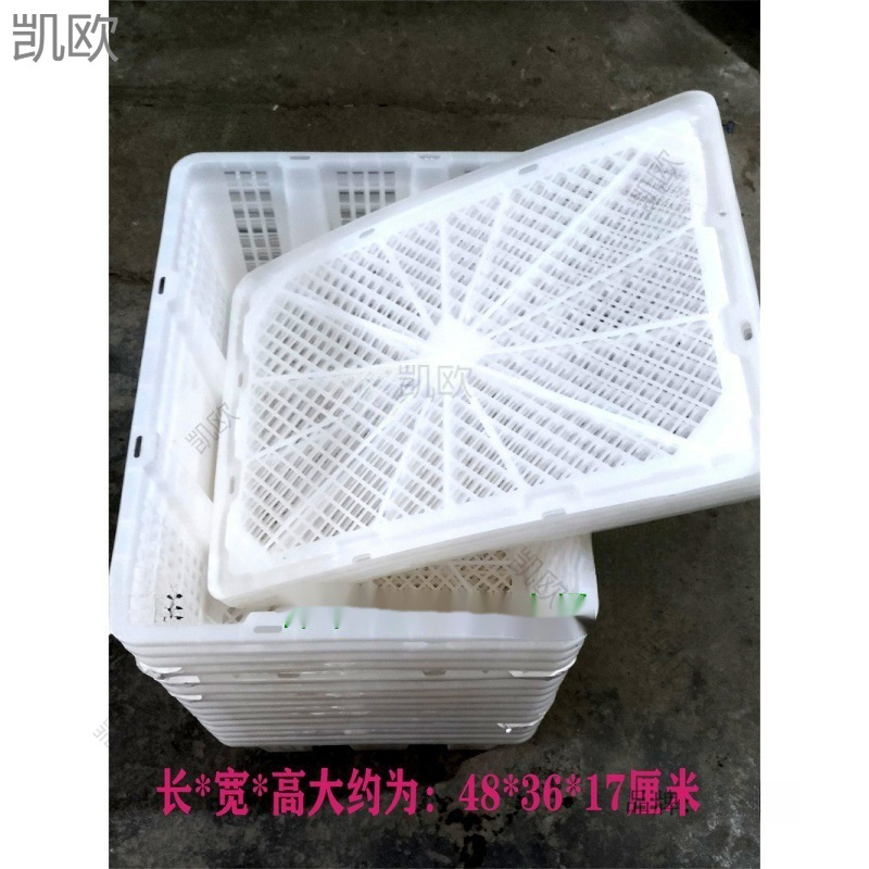 草莓采摘框桑葚一次性塑料框运输筐白色水果篮批发