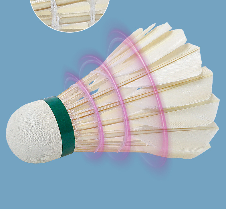 51d9a2d7-6e15-4d41-b4d7-96bb9f568e77.jpe