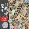 5 pounds of original ecological Sichuan and Tibetan sand (3-30 mm)