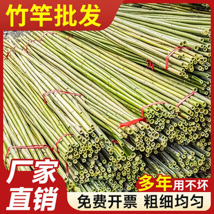 Bamboo Poles for Climbing Trellis, Spring Vegetable Growing Rack, Vegetable Garden Frame, Outdoor Flagpole, Fence, Bamboo Poles Wholesale