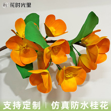 �����ˮ����𻨵������b�ˇ���̵��T���b��÷����