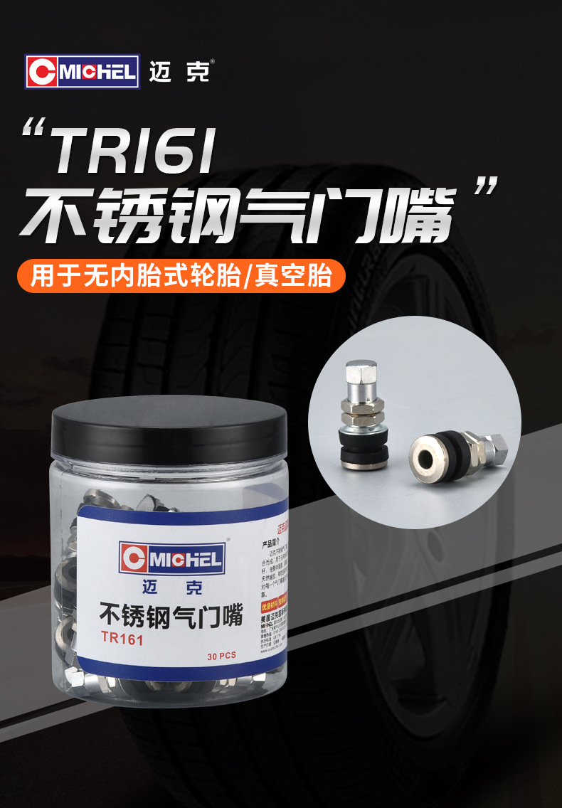 Mike's Stainless Steel Valve Stem Is Made of Alloy Material, Sturdy and Durable, Explosion-Proof Tire Valve with Core for Vacuum Tires