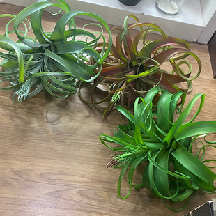 ��Ʒ�՚��P��зצ��ֲ���ķ���՚������횙������m����b�