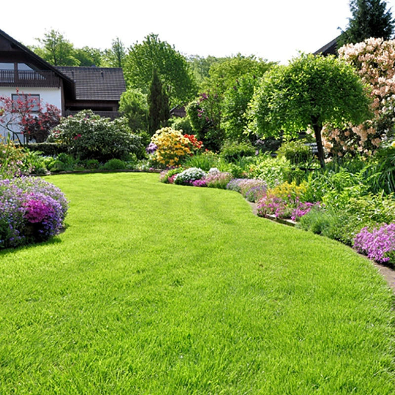 Семена газонной травы Dwarf Bermuda для газонов, семена газонной травы, семена газонной травы Dwarf Bermuda, семена газонной травы Dwarf Bermuda, отправленные с базы.