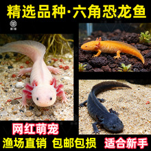 ��ˮ��ˮ�����ǿ����������������������������ˮ�������