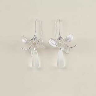 �~�Ͻ��� ��¶�w�������F���p�ݸ߼���2025�¿��¸ж��h