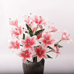 ����ٺϻ� �����zƬ�ָ�9�^�ٺϻ�c�ҾӔzӰ�bٻ��S�����l