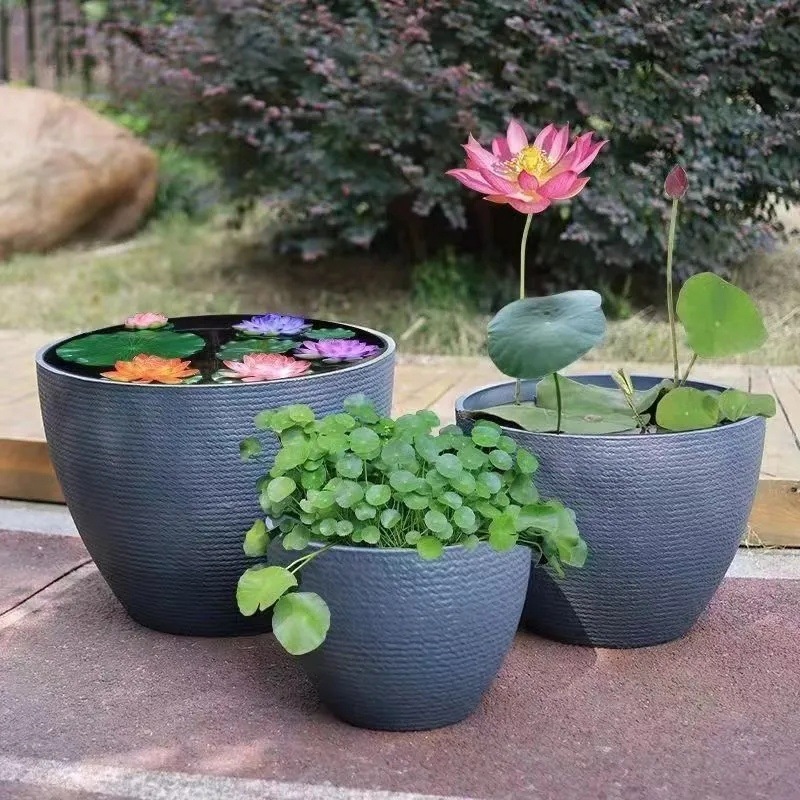 9096420b-d9f8-4681-97e7-d6216800f10a.jpe