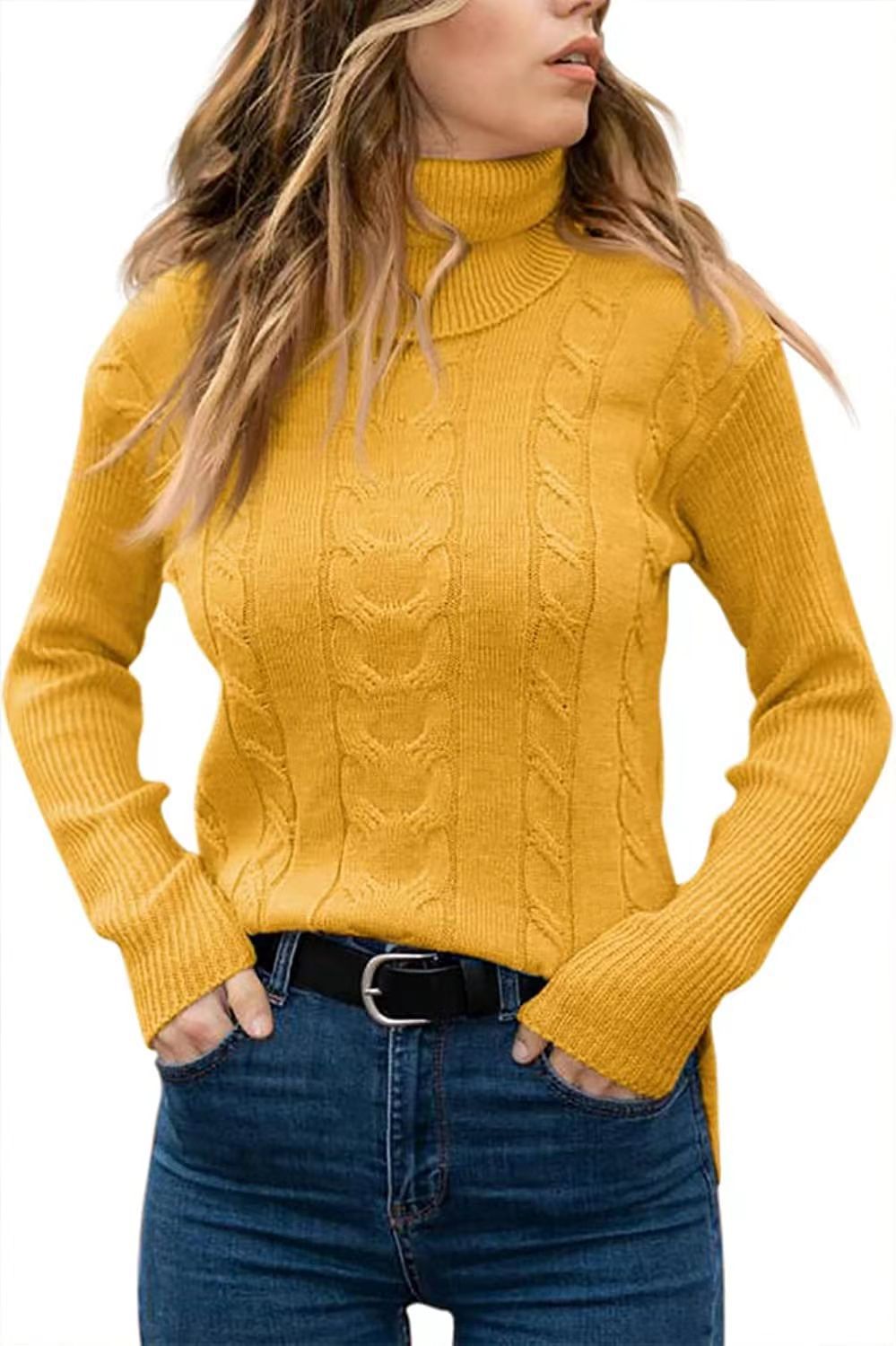Dames herfst en winter nieuwe effen kleur coltrui retro lange mouwen dames trui_voghion.com
