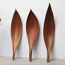 可可叶干花天然植物叶子拍照道具民宿样板房桌面装饰摆件托盘创意