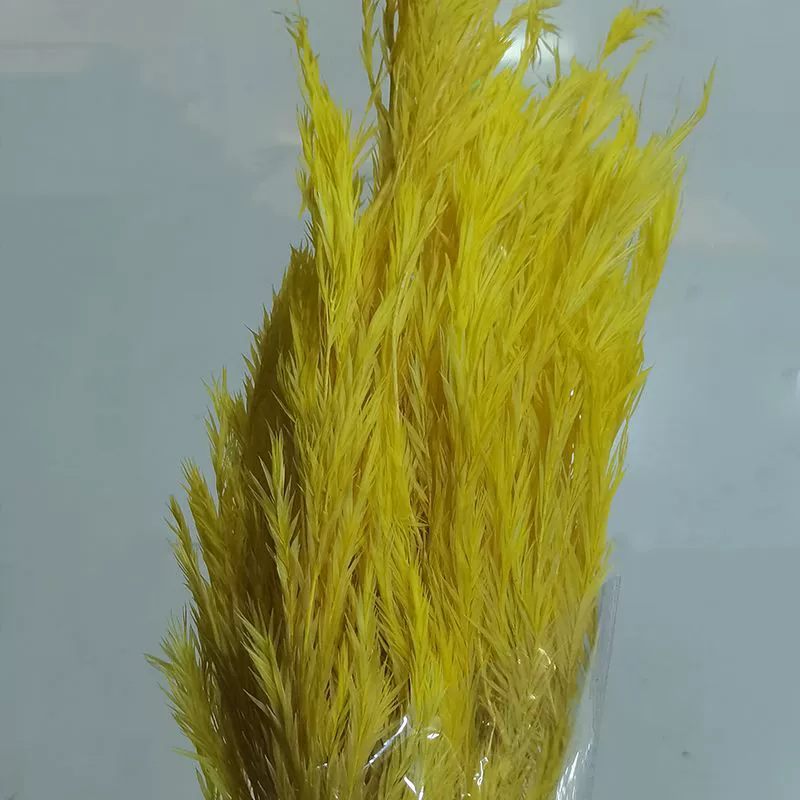 Eternal Life Ritter Thousand -layer Golden Flower Flower Eternal Leaf Material Bouncing Flower Insert Decoration Decoration Materials