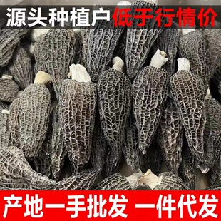 ��؛����خa�^����Ǿ�250g��؛�˴��bԴ�^�S�Ҵ��l���l���]