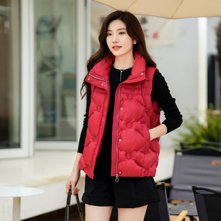 New Vest Korean Style Autumn and Winter Fashionable Short Down Cotton-padded Jacket Loose Warm Vest Waistcoat Stylish All-match Jacket