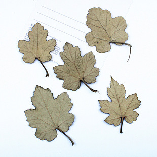 ��÷�~����~�˱������ɻ�Ѻ���֙C���������N���ɻ�diy����
