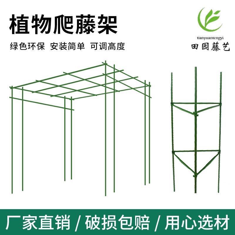 Rack de uva, rack de vid, rack de fruta, pepino, pepino, clematis verde, rack de vid, tubo de acero encapsulado, varilla de vid