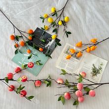 �羳��Ʒ�������Ӽ�ˮ���@�־Gֲ�쾰�b���ˮ���羳���l�[��Ʒ