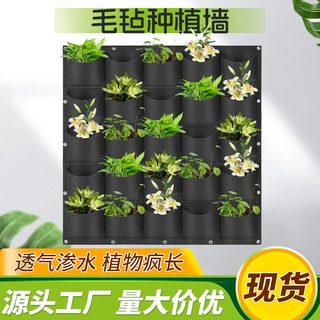 厂家定制植物墙壁挂花盆垂直种植盆悬挂美植袋加厚种植墙种植袋