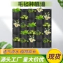 种植植物悬挂定制种植盆
