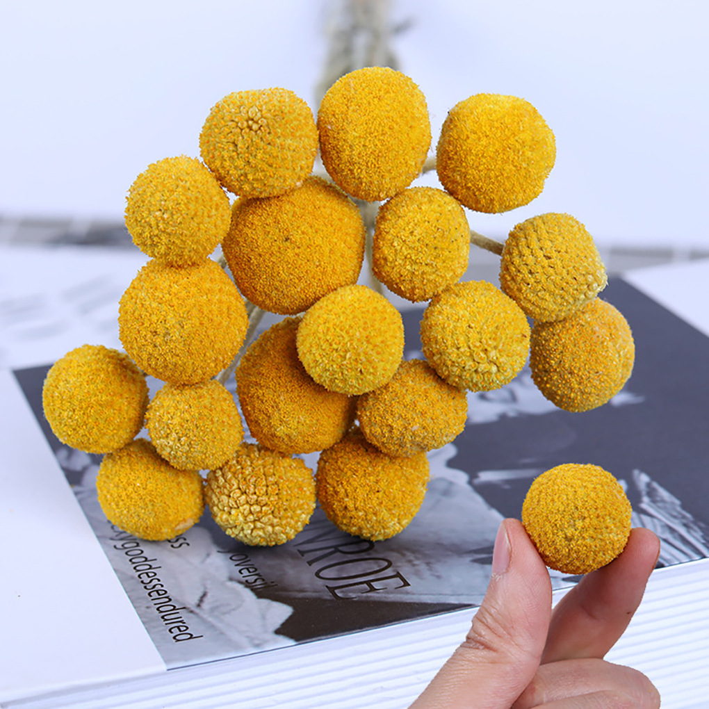 Bouquet DIY Materials Floral Props Home Decoration Gold Ball Eternal Flower_voghion.com