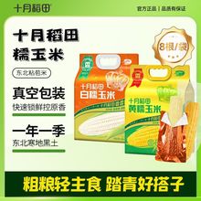 【十月稻田】黄糯白糯玉米香甜糯东北大苞米可拉丝真空装早餐代餐