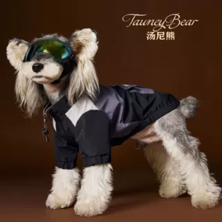 汤尼熊 男狗狗秋装衣服帅气运动服带牵引扣 泰迪雪纳瑞比熊两脚衣