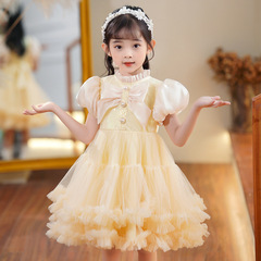 Girls dress skirt puff sleeve short princess dress mesh flower girl dress piano performance small host dress