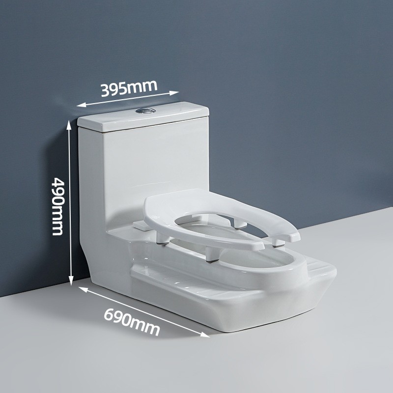 Personalidad de nuevo inodoro transformado en un solo paquete abierto de cerámica antiolor de escritorio sentado en cuclillas dos en uno dos uso inodoro