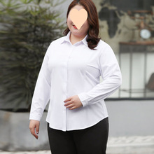 2025b¿arŮʿLIbӷʌɴbr