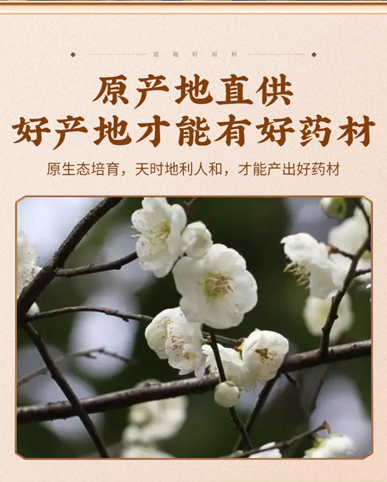 White Plum Flower Buds Mei Hua Loose Dried Herbal Tea 50g key features