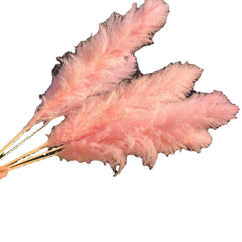 Сухие тростниковые цветы натуральные, крупный колосок, розовый основной цвет, стиль PU Wei, декор для дома