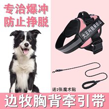 边牧牵引绳狗狗幼犬防爆冲狗链背心式胸背带可调节遛小狗绳子