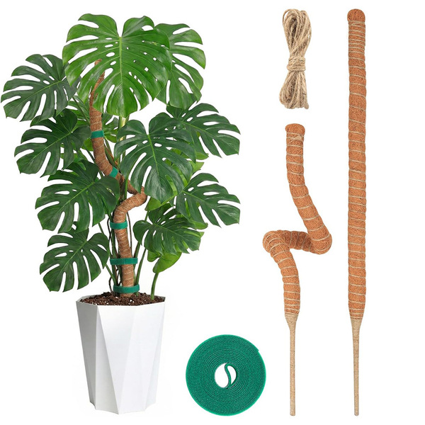 Cross-border plant support stand set coconut palm bendable moss pole…
