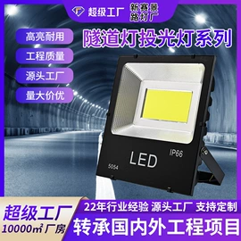 灯柱灯杆;投光灯;路灯