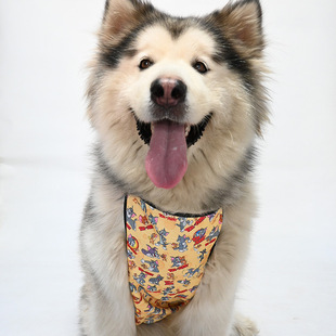 MYNE PETS�y�z��ˮ�����Ƕ��ɐ�؈�������o�Ƿ��ś���ˮ���K����