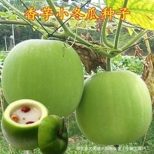 �V�|����С��������������㶬������A�Ζ|�ϷN�����̨ͥԺ�Nֲ