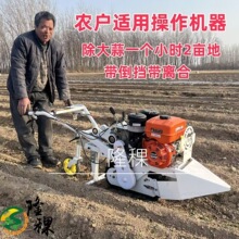 大蒜收获机手推两行汽油自走式新款挖蒜机起机出小型农用自动其他