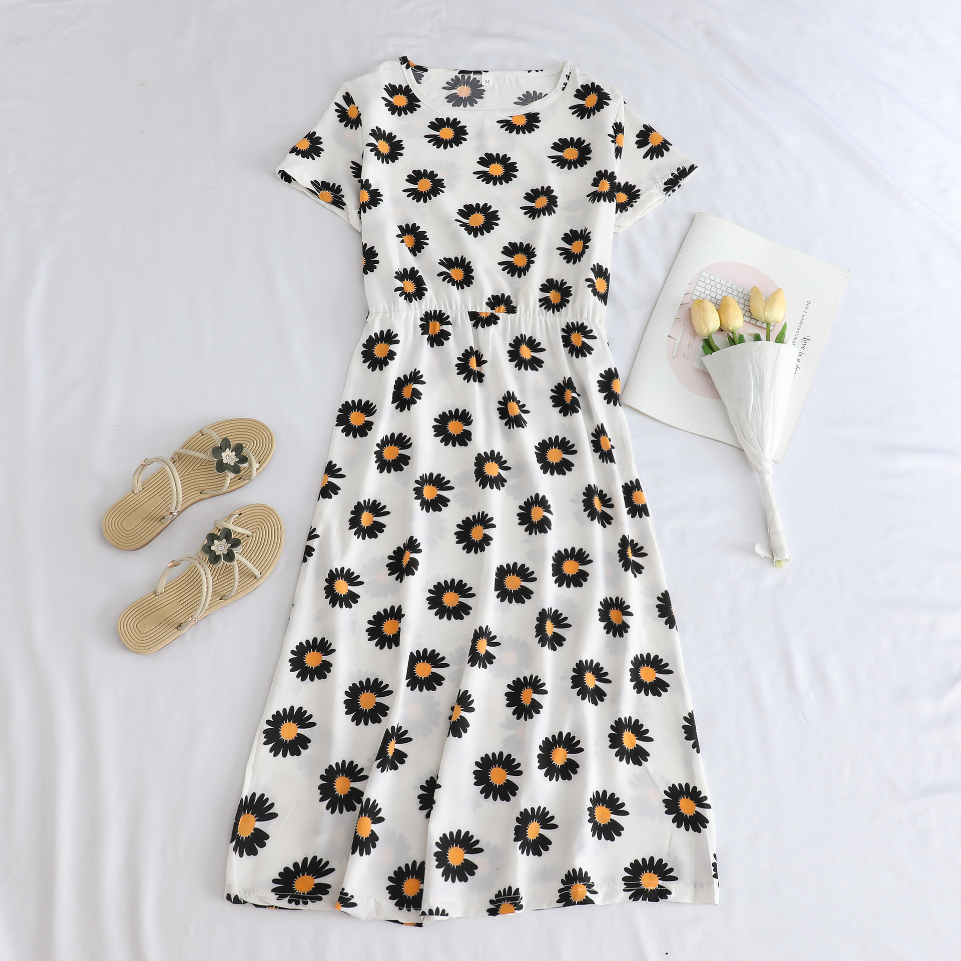 F41 흰색 큰 국화