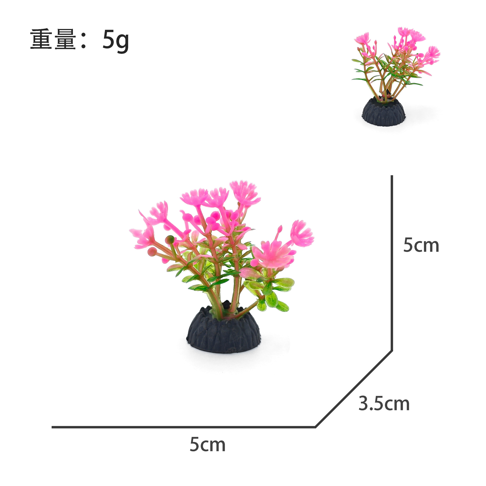 ピンクの水草 5g