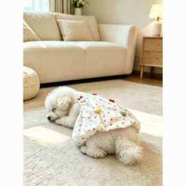 宠物衣服彩虹糖波点连衣裙可爱猫咪小型犬狗狗比熊雪纳瑞夏季裙子